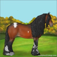 Horse Color:Bay Tobiano Varnish Rabicano 