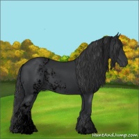 Horse Color:Void White Spotted Black 