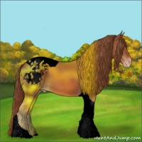Horse Color:Void Chestnut Tobiano Blanket 