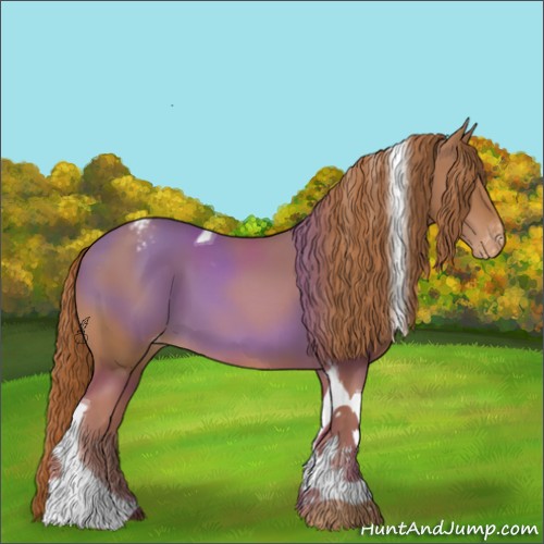 Horse Color:Chestnut Tobiano Appaloosa 