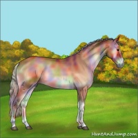 Horse Color:Nacre Silver Bay Onyx 
