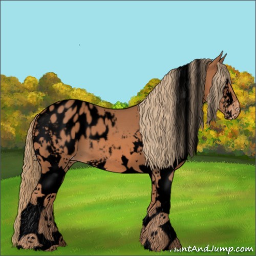 Horse Color:Void White Spotted Chestnut Blanket