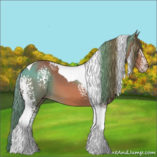 Horse Color:White Spotted Chestnut Tobiano