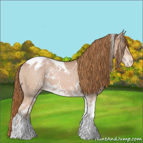 Horse Color:White Spotted Chestnut Tobiano Appaloosa
