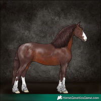 Horse Color:Chocolate Brown