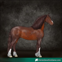 Horse Color:Chocolate Brown 