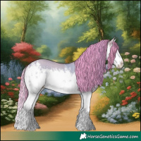 Horse Color:Watercolor White Spotted Bay Dun Splash Rabicano 