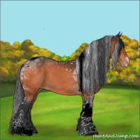 Horse Color:Bay Tobiano Varnish Rabicano 