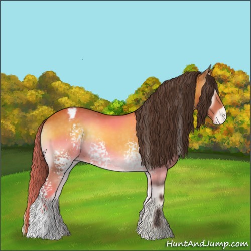 Horse Color:White Spotted Buckskin Onyx Sabino Varnish