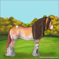 Horse Color:White Spotted Buckskin Onyx Sabino Varnish 