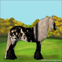 Horse Color:Void Plaid  White Spotted Gold Cream Champagne Onyx Tobiano Appaloosa 