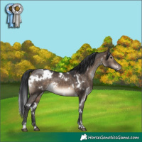 Horse Color:White Spotted Brown Dun 