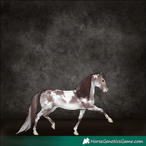 Horse Color:Platinum White Spotted Chocolate Brown Dun 