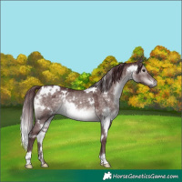Horse Color:Platinum White Spotted Chocolate Brown Dun
