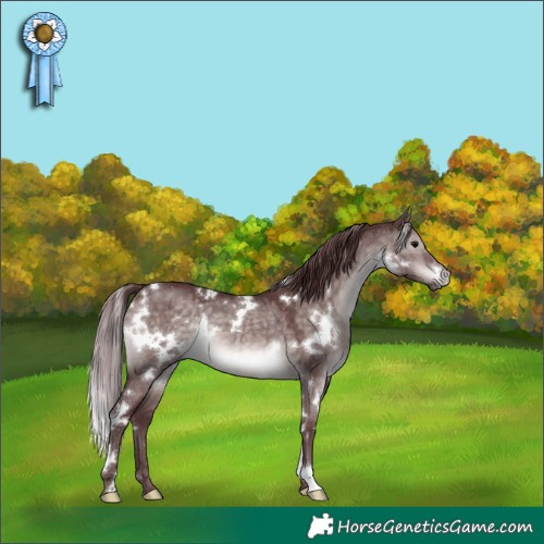 Horse Color:Platinum White Spotted Chocolate Brown Dun 