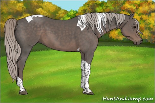 Horse Color:Silver Black Tobiano