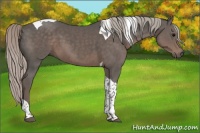 Horse Color:Silver Black Tobiano 