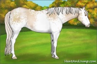 Horse Color:White Spotted Silver Grullo Pearl Rabicano 