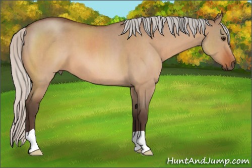 Horse Color:Silver Brown Roan Dun 