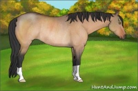 Horse Color:Brown Dun Rabicano 