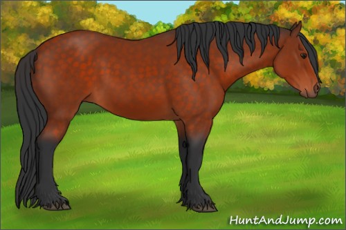 Horse Color:Brown 