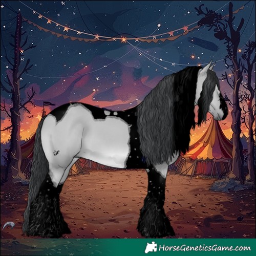 Horse Color:Void Grullo Chinchilla Tobiano 