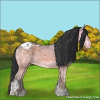 Horse Color:Bay Ice Tobiano Appaloosa