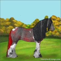 Horse Color:Black Ice Tobiano 