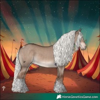Horse Color:Liver Red Dun Mushroom Tobiano 
