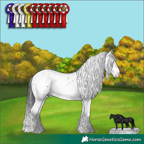 Horse Color:Black Sabino Rabicano 