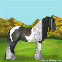 Horse Color:Black Tobiano 
