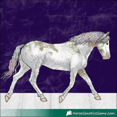 Horse Color:Nacre Watercolor White Spotted Silver Black 