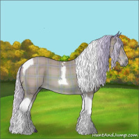 Horse Color:Watercolor Plaid  Silver Bay Tobiano 