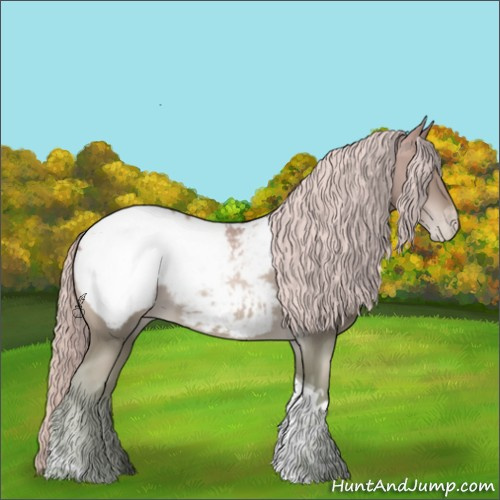 Horse Color:Chocolate Palomino Pearl Sabino Tobiano Appaloosa Rabicano 