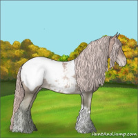 Horse Color:Chocolate Palomino Pearl Sabino Tobiano Appaloosa Rabicano 