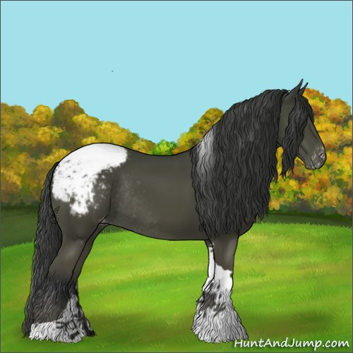 Horse Color:Bay Tobiano Snowcap Rabicano