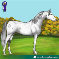 Horse Color:Brown Sabino 