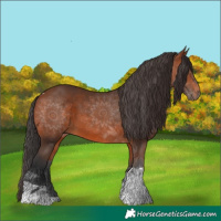 Horse Color:Bay Tobiano 