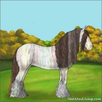Horse Color:Plaid  Bay Ice Dun Tobiano 