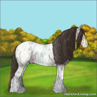 Horse Color:Bay Ice Tobiano Appaloosa