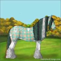 Horse Color:Plaid Bay Ice Tobiano