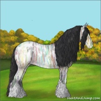 Horse Color:Bay Ice Tobiano Appaloosa
