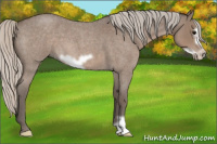 Horse Color:Silver Blue Roan Frame 