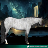 Horse Color:Midnight Blue Onyx Roan 