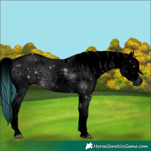 Horse Color:ERROR: UNKNOWN ANOMALY