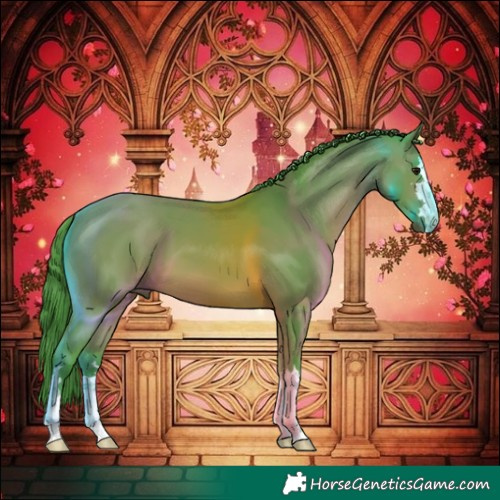 Horse Color:Watercolor Bay 