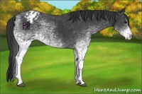 Horse Color:White Spotted Black Varnish 