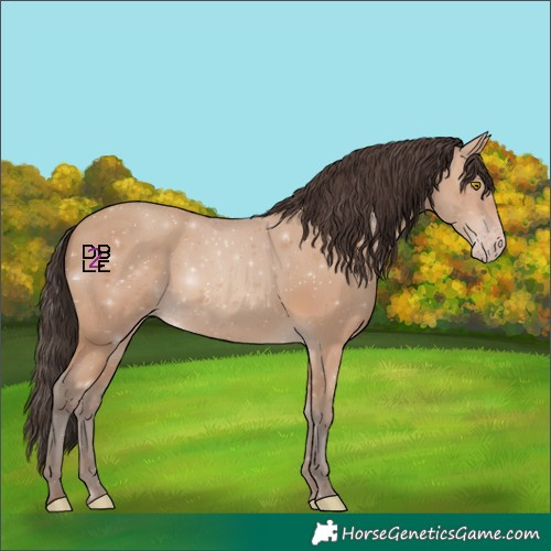 Horse Color:Amber Champagne 