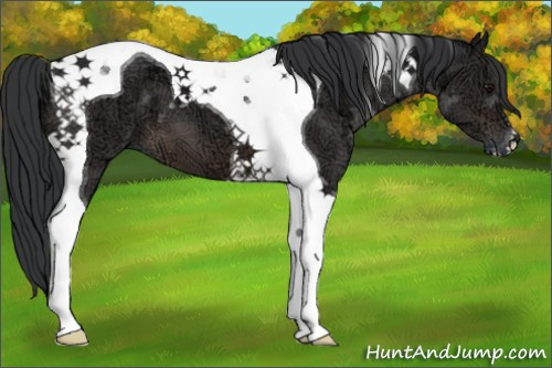 Horse Color:Brown Ice Tobiano