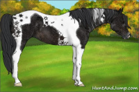 Horse Color:Brown Ice Tobiano 